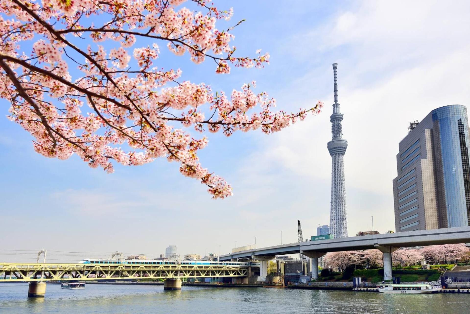 Honeys Guest House Tokio Buitenkant foto
